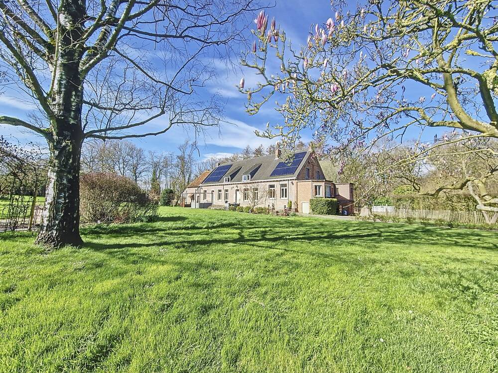 Maison à vendre à Bois-de-Lessines 7866 650000.00€ 6 chambres 363.00m² - annonce 44744