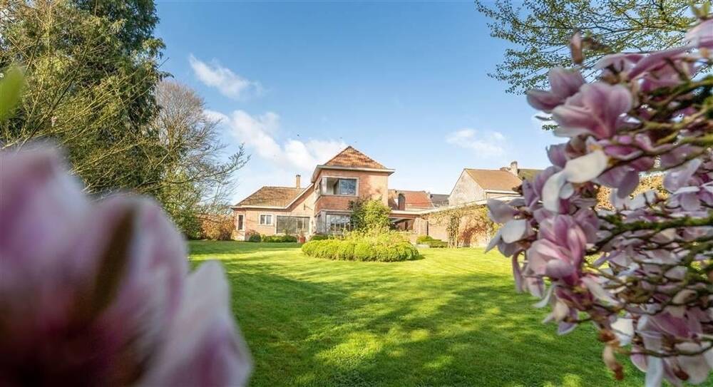 Maison à vendre à Leuze-en-Hainaut 7900 450000.00€ 6 chambres 250.00m² - annonce 133014