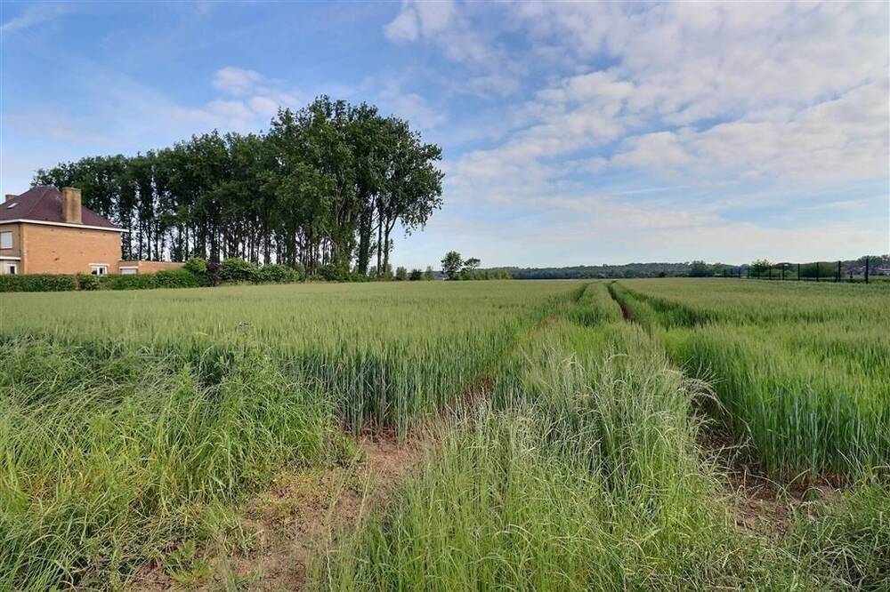 Terrain à vendre à Ploegsteert 7782 219000.00€  chambres m² - annonce 155810