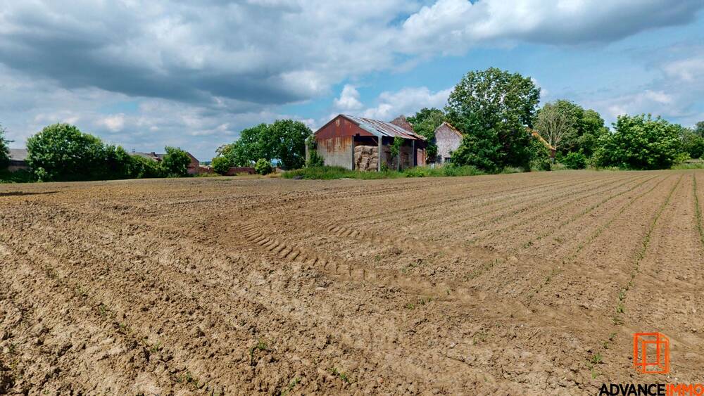 Maison à vendre à Ormeignies 7802 270000.00€ 3 chambres 270.00m² - annonce 197717