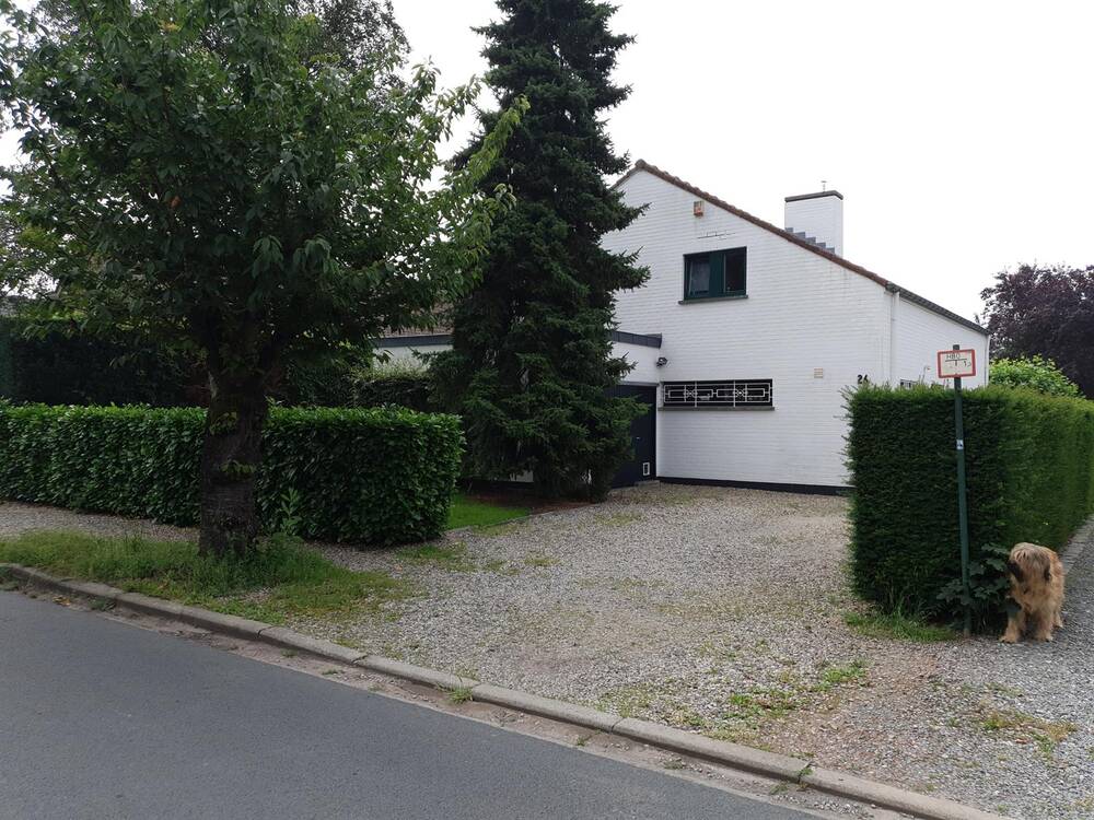 Maison à louer à Mons 7000 1600.00€ 3 chambres 200.00m² - annonce 265953