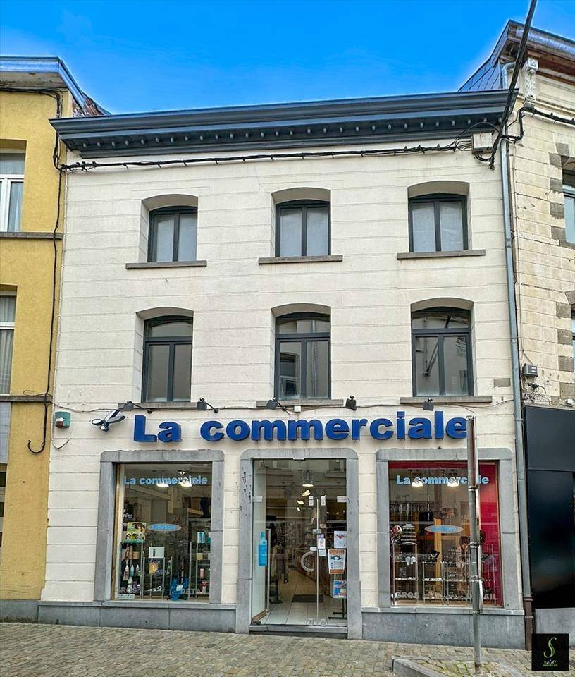 Maison à vendre à Binche 7130 295000.00€ 2 chambres 250.00m² - annonce 303501