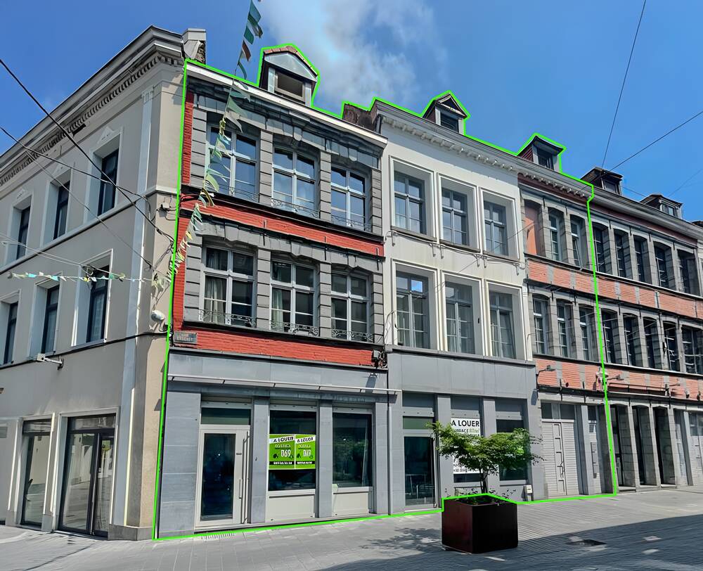 Immeuble de rapport - Immeuble à appartement à vendre à Tournai 7500 469000.00€ 7 chambres 305.00m² - annonce 332679